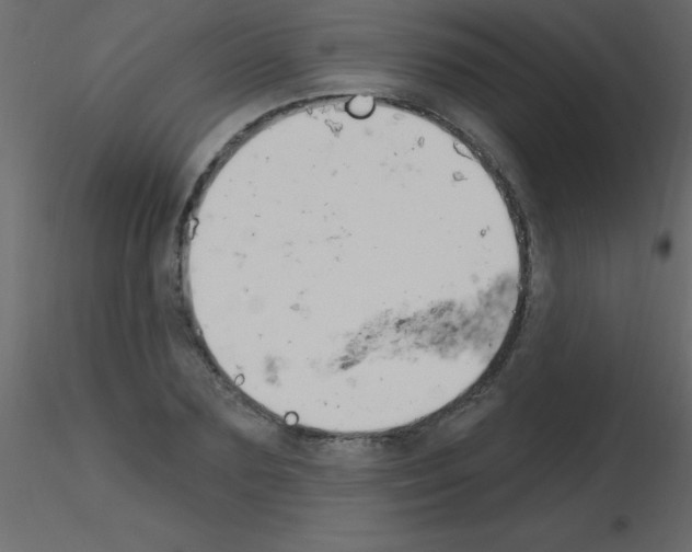 X0000115810883200912241912