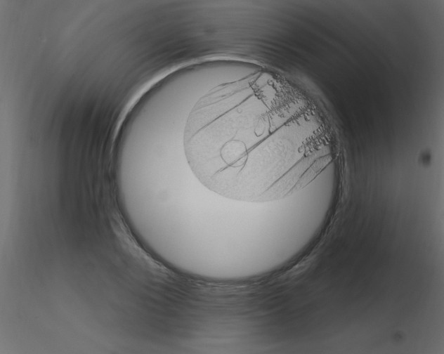 X0000115810884200912241912