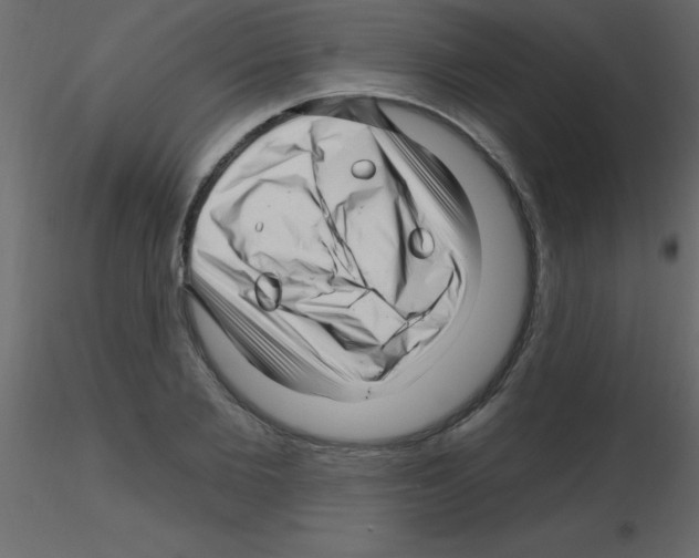 X0000115810885200912241912
