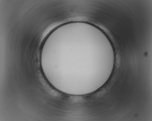 X0000115810886200912241912