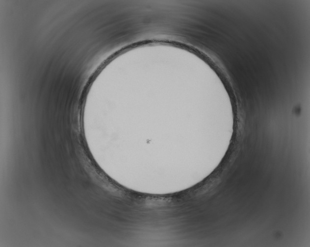 X0000115810887200912241912