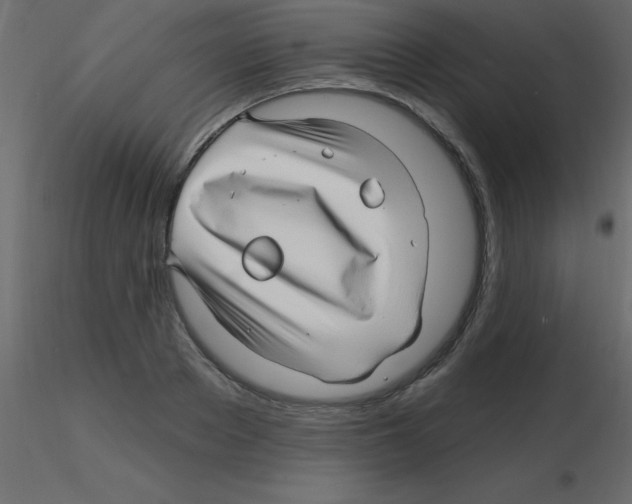 X0000115810889200912241912