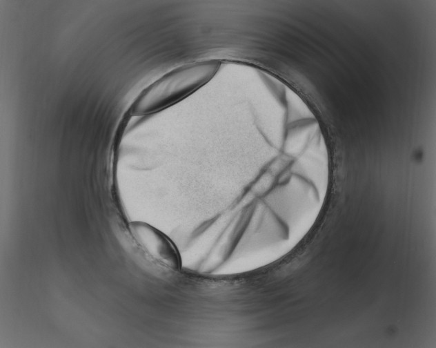 X0000115810892200912241912