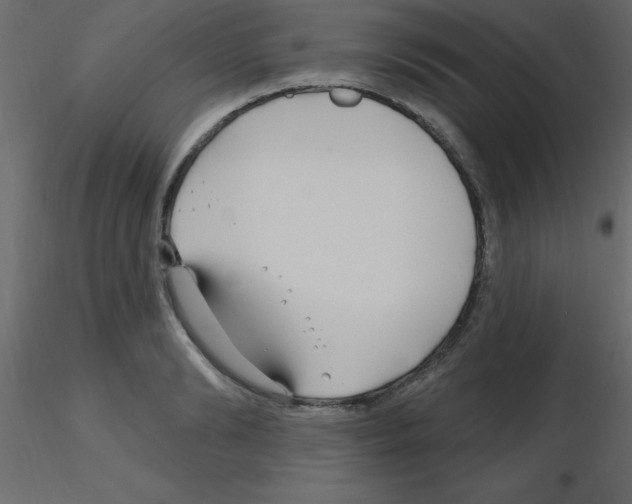 X0000115810894200912241912