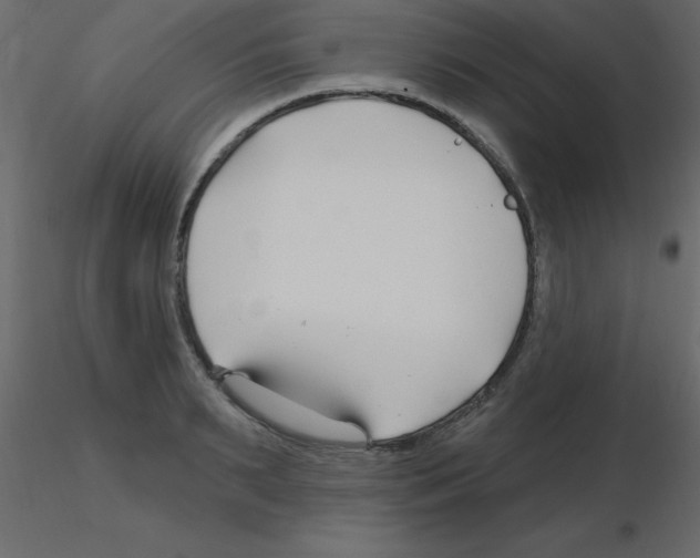 X0000115810895200912241912