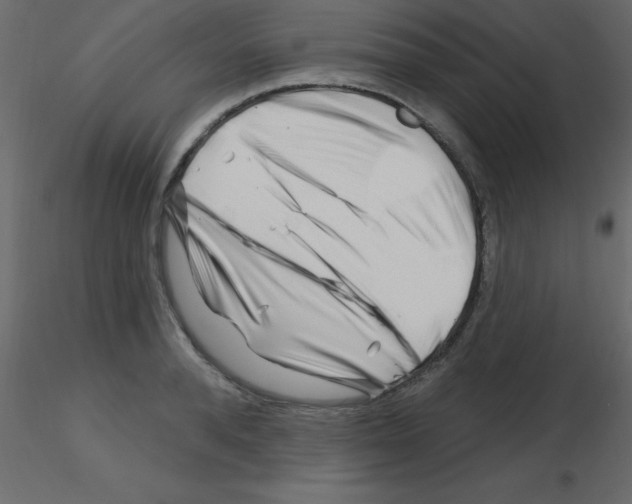 X0000115810896200912241912