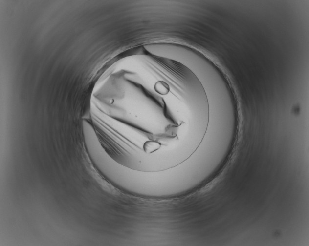 X0000115810897200912241911