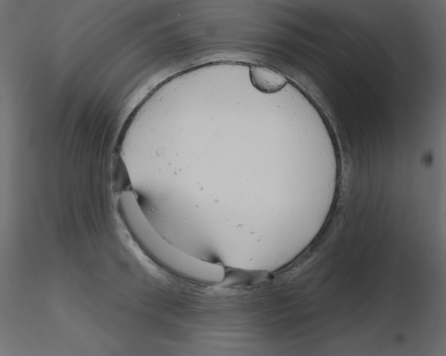 X0000115810898200912241911