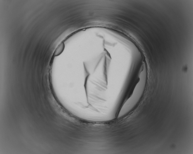 X0000115810899200912241911