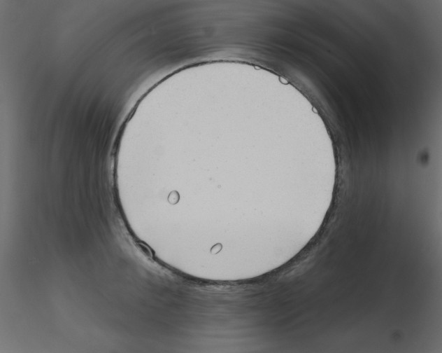 X0000115810900200912241911