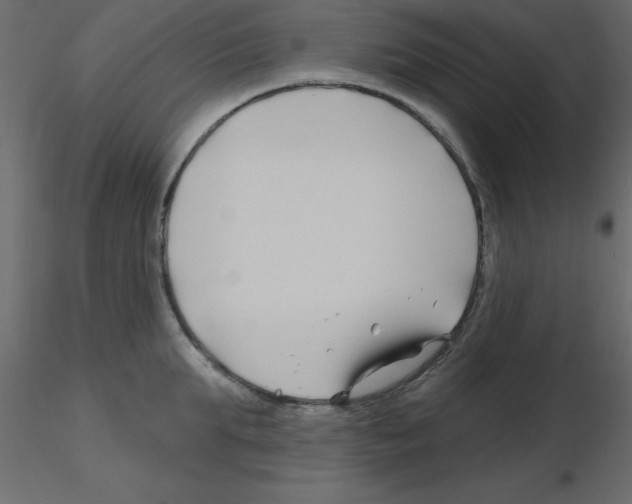 X0000115810903200912241911