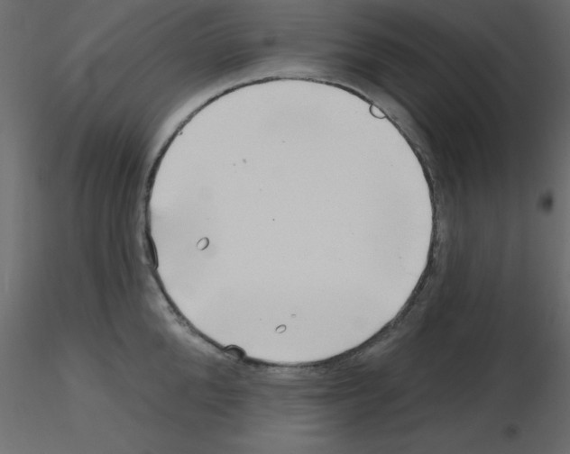 X0000115810904200912241911