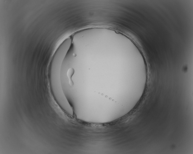 X0000115810907200912241911