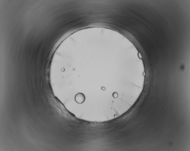 X0000115810908200912241911