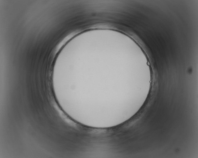X0000115810909200912241911