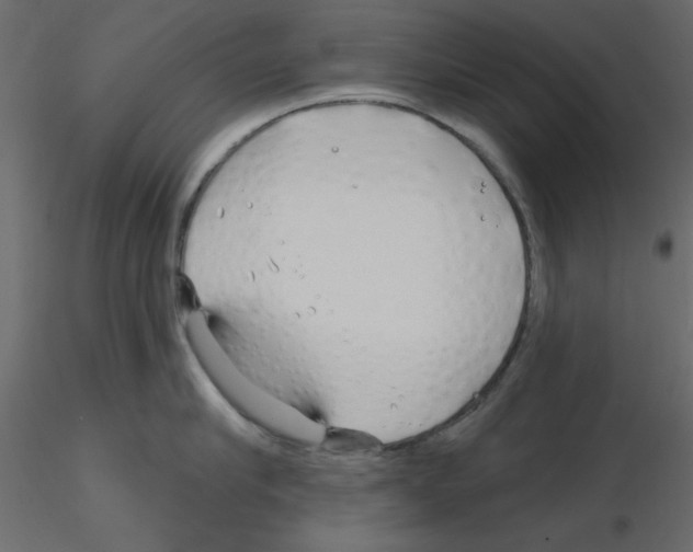X0000115810910200912241911