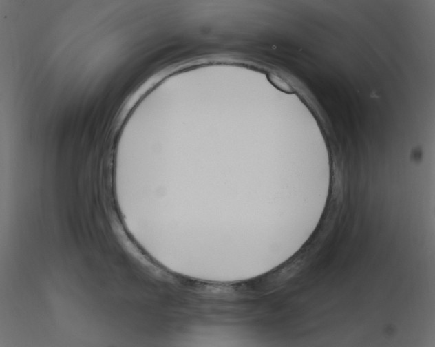 X0000115810911200912241911