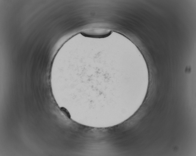 X0000115810912200912241911