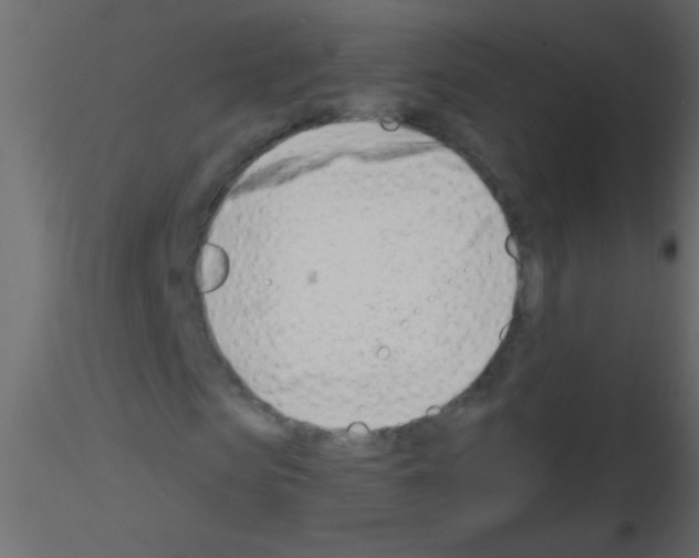 X0000115810913200912241911