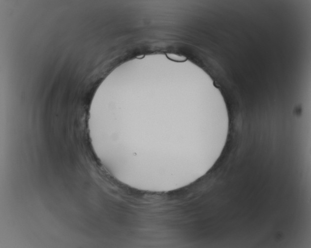 X0000115810914200912241911