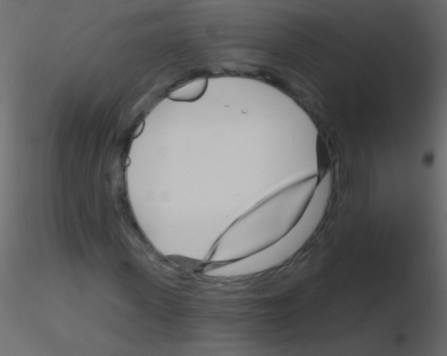 X0000115810915200912241911