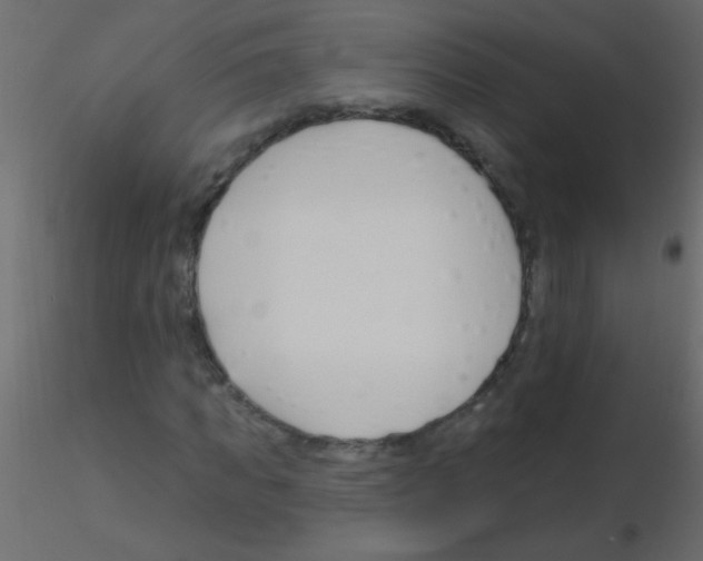 X0000115810917200912241911