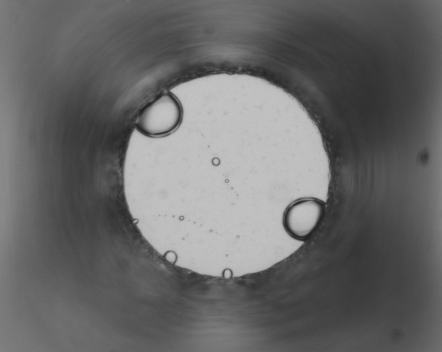 X0000115810918200912241911