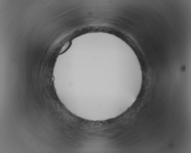 X0000115810919200912241911