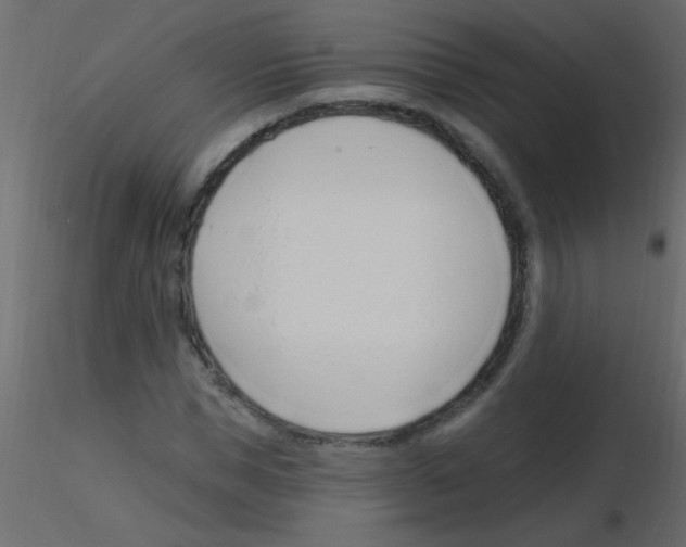 X0000115810921200912241911