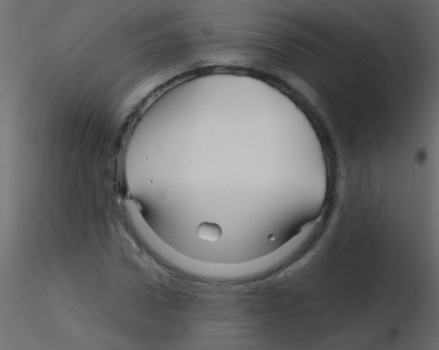 X0000115810922200912241911