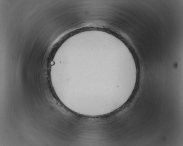 X0000115810923200912241911