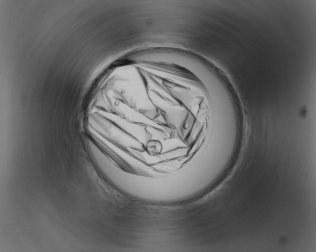 X0000115810925200912241911