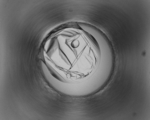 X0000115810926200912241911