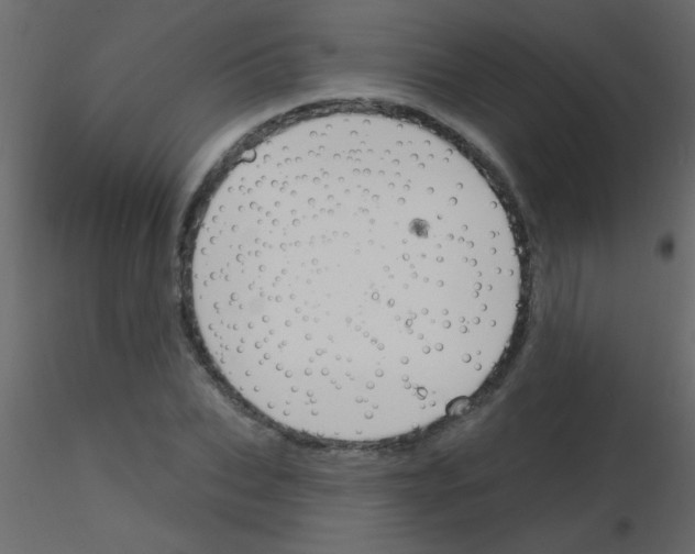 X0000115810927200912241911