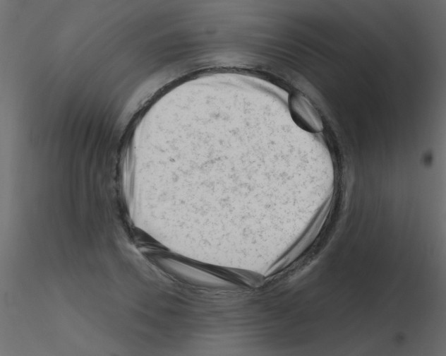 X0000115810930200912241911