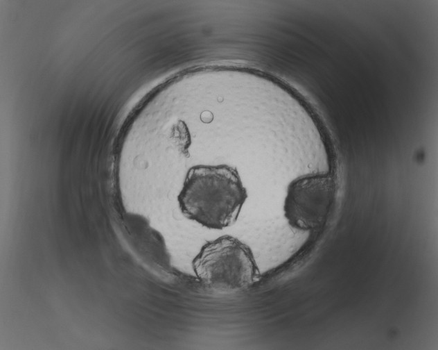 X0000115810933200912241911