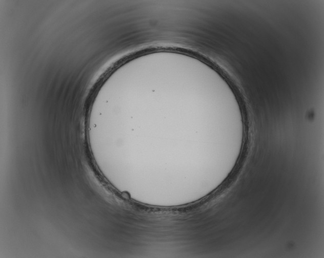 X0000115810934200912241911