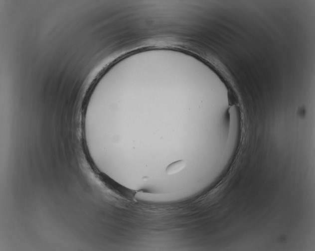 X0000115810939200912241911