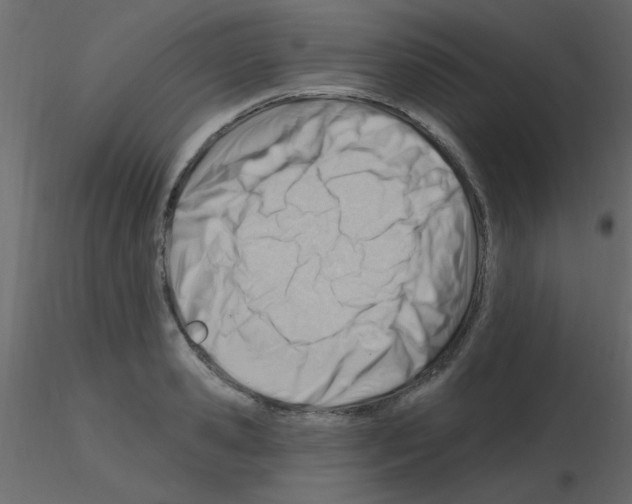 X0000115810941200912241911