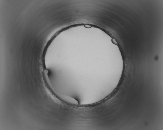 X0000115810942200912241911