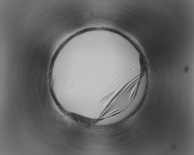 X0000115810943200912241911
