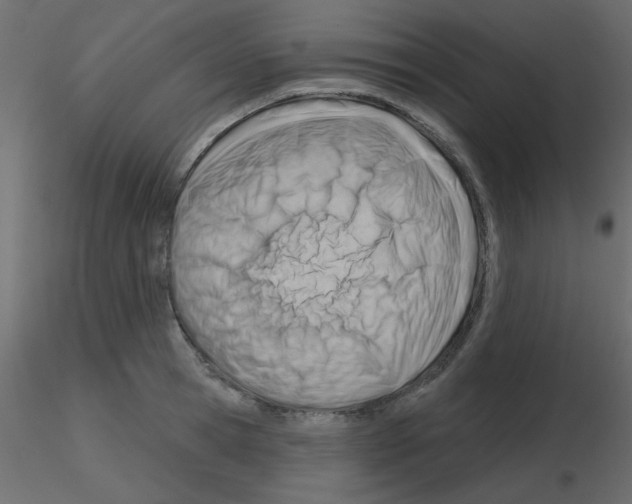 X0000115810945200912241911