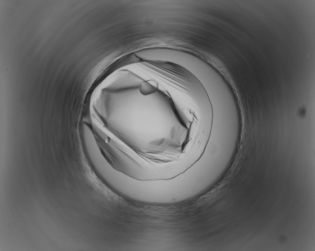 X0000115810946200912241911