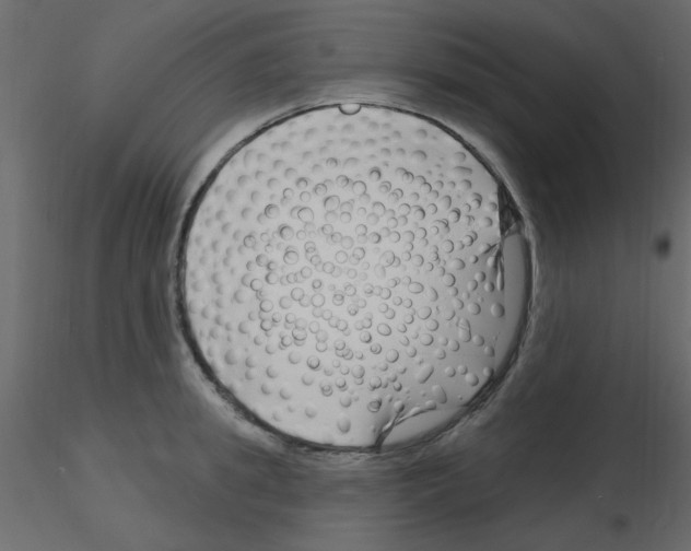 X0000115810949200912241911