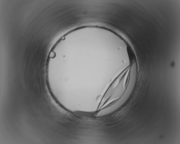 X0000115810951200912241911