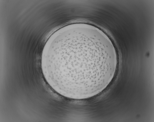 X0000115810953200912241911