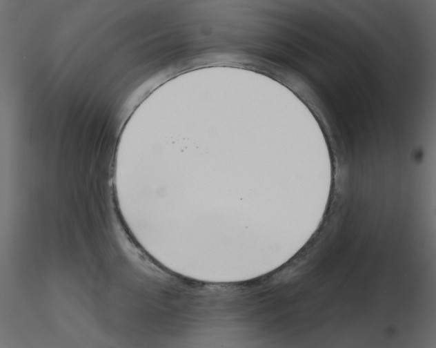 X0000115810954200912241911