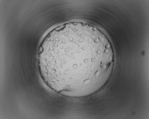 X0000115810955200912241911