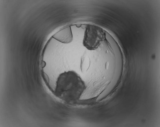 X0000115810957200912241911