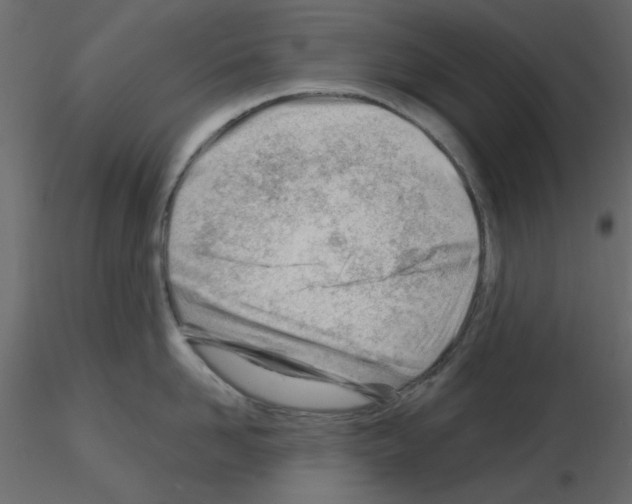 X0000115810958200912241911